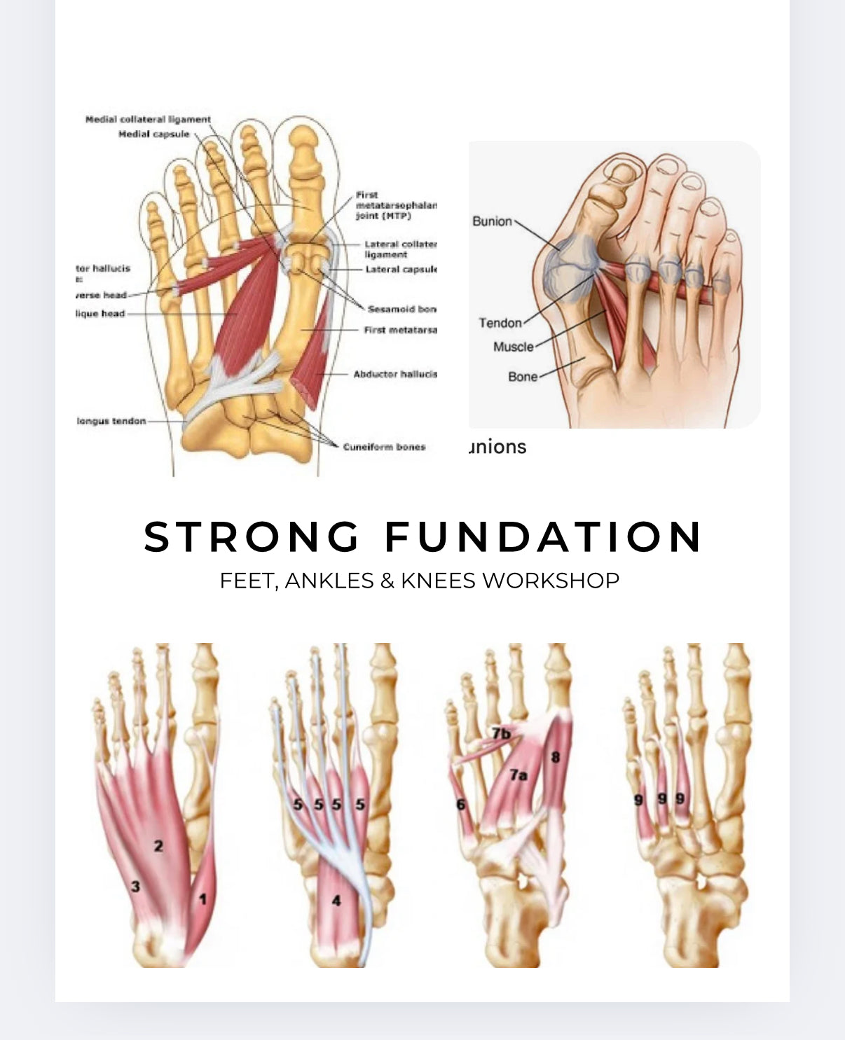 Strong Foundation: Feet, Ankles and Knees -  Live Workshop Recording