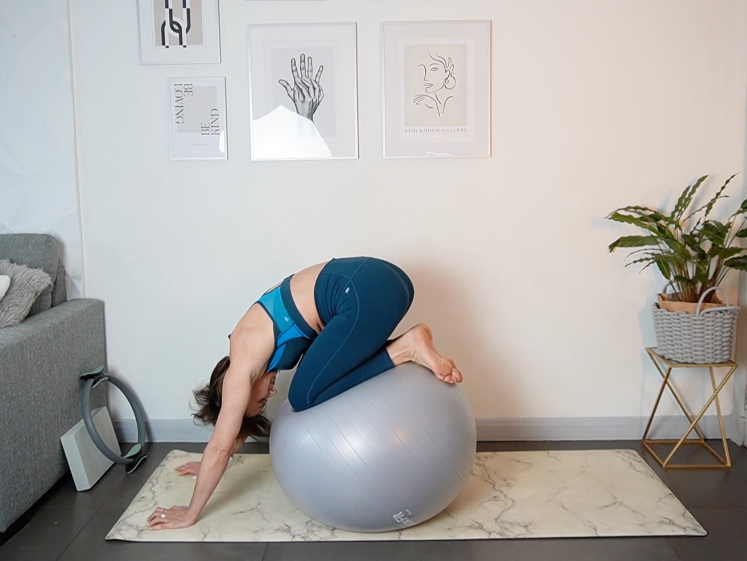 Fit Ball Workshop - Course On Demand