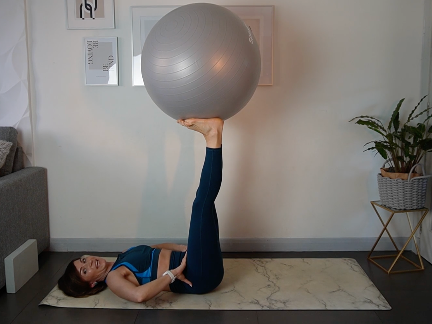 Fit Ball Workshop - Course On Demand