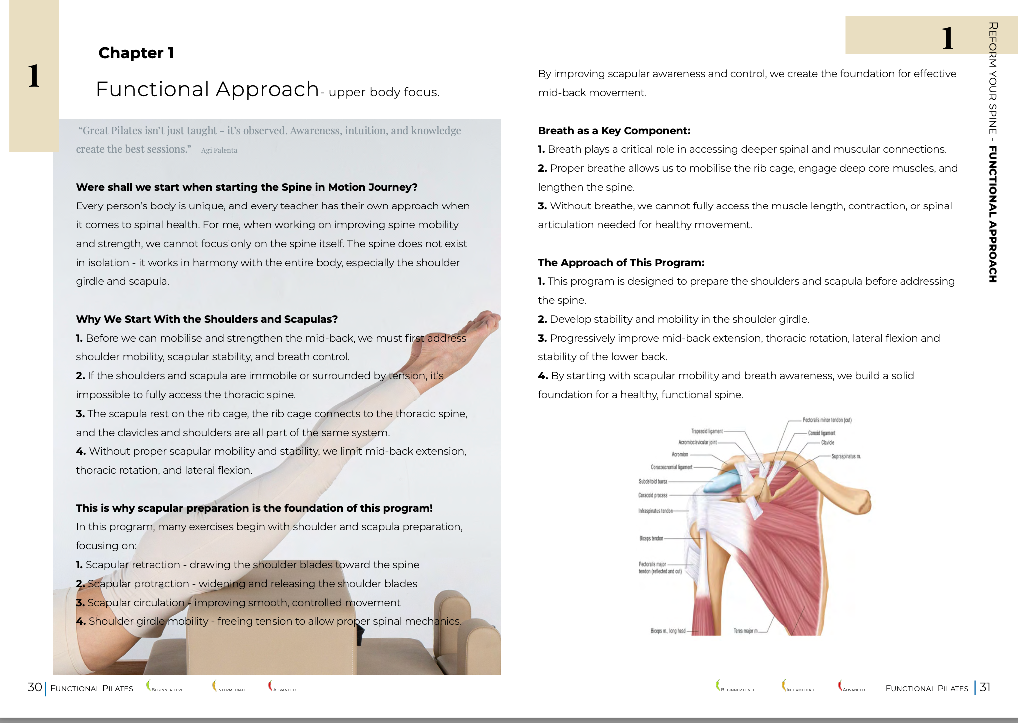 Spine in Motion: Reformer Pathways For Spinal Health - PDF Manual